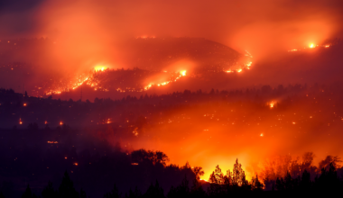 Super-sized El Niño could cause more than 450,000 heat deaths by February, study suggests