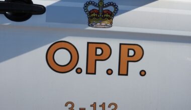 Dramatic arrests in Prince Edward County Thursday