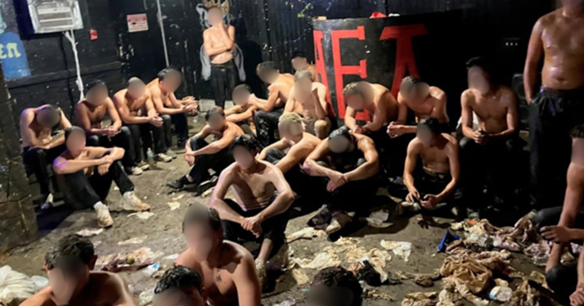 Wisconsin frat leaders arrested after 30 pledges found in filthy basement, injured and covered in condiments