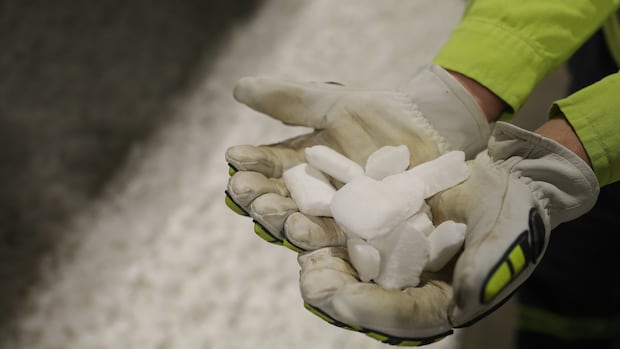 Canpotex announces $500M project at Port of Vancouver to boost supply chain for Sask. potash exports