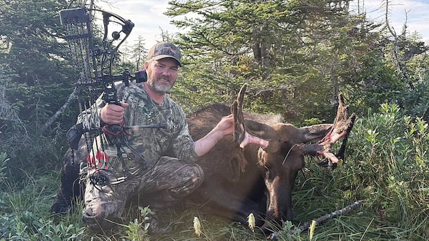 West coast N.L. hunter harvests 7-point bull moose only to find it has ‘no male parts’