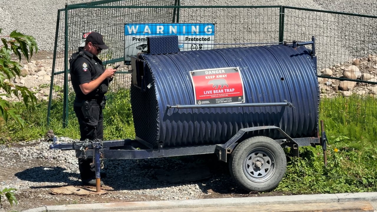 An officer standing near a bear bin in Squamish, B.C. in August 2026.