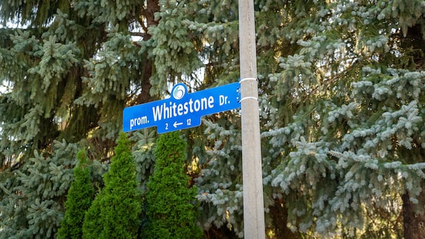 Trump Avenue sign goes missing before official name change