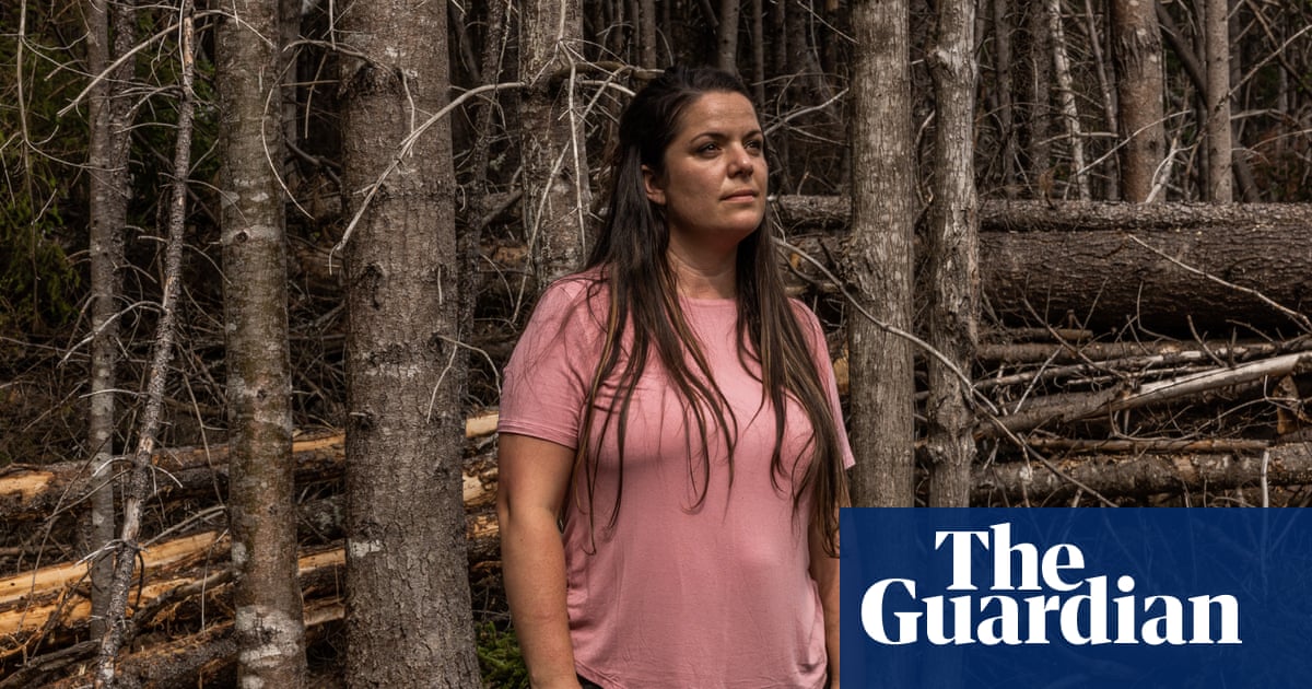 ‘It’s just getting worse’: anger in Maine over Trump’s trade war with close neighbor Canada | Maine