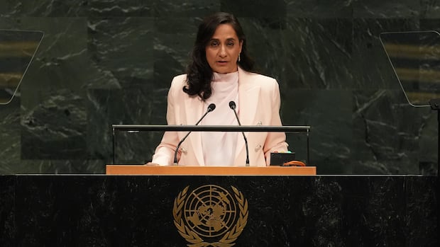 In UN address, Anand takes jab at 'great powers' disrupting global order