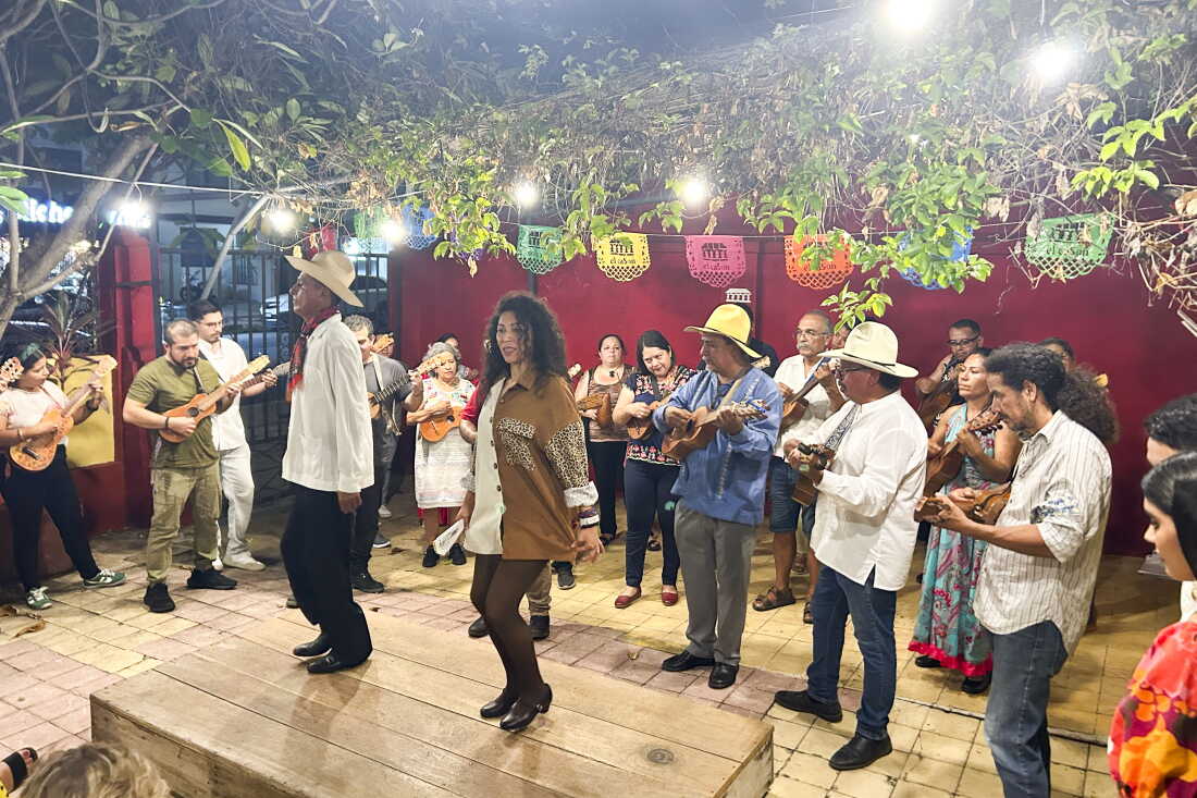 Jarana players join a mass jam session at a Veracruz fandango while the dancers pound out rhythms with their heels on the wooden tarima.