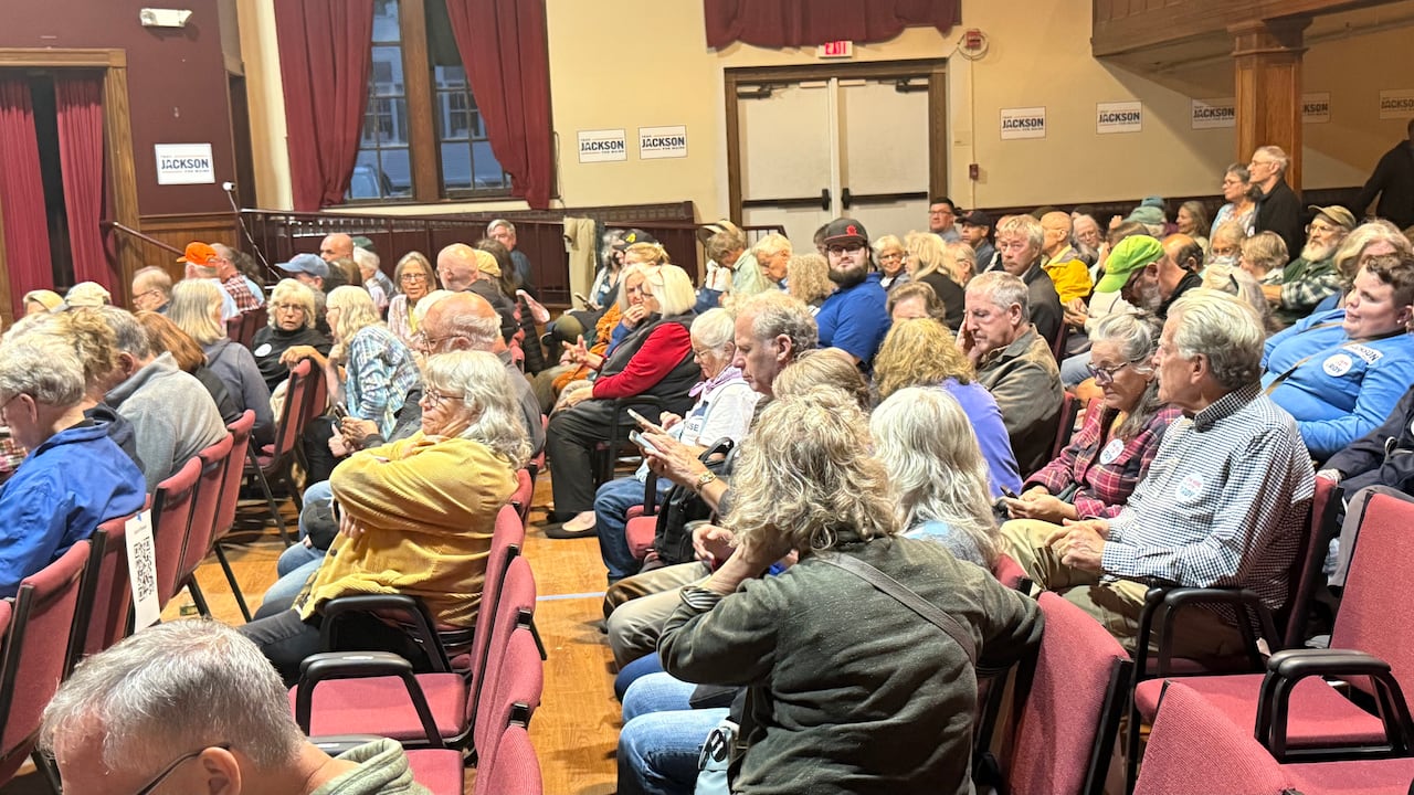 Side view of an audience seated in rows of chairs.
