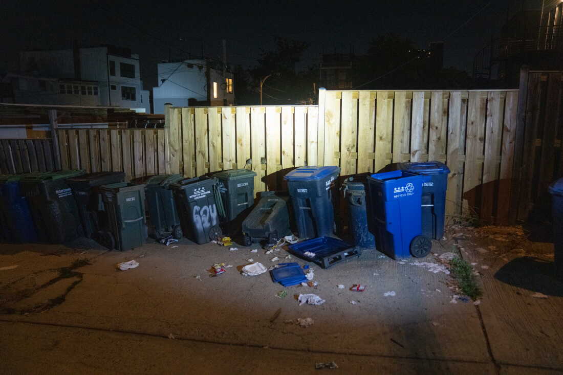 Open trash and recycling bins sit in an alley in Park View attracting rats.