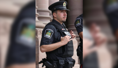 Queen's Park peace officer dies in collision
