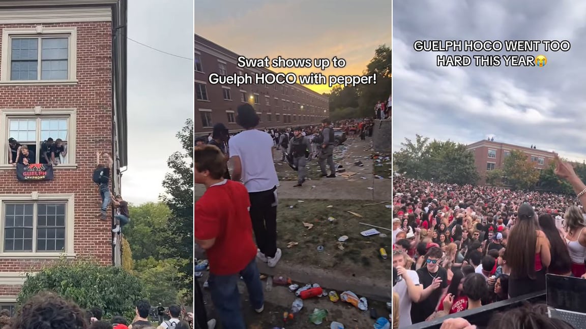 Three still images from videos showing various aspects of a street party