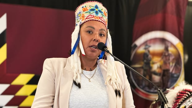 Assembly of Manitoba Chiefs 'disappointed' by premier's comments on First Nations checkpoint