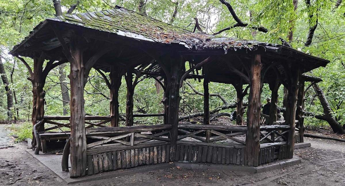 Central Park birders, others remember 63-year-old woman killed in park