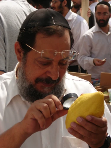 A Jewish man inspects a Yemenite etrog at a market in Bnei Brak, Israel, in 2007. Credit: Aviad2001/Creative Commons via Wikimedia Commons.