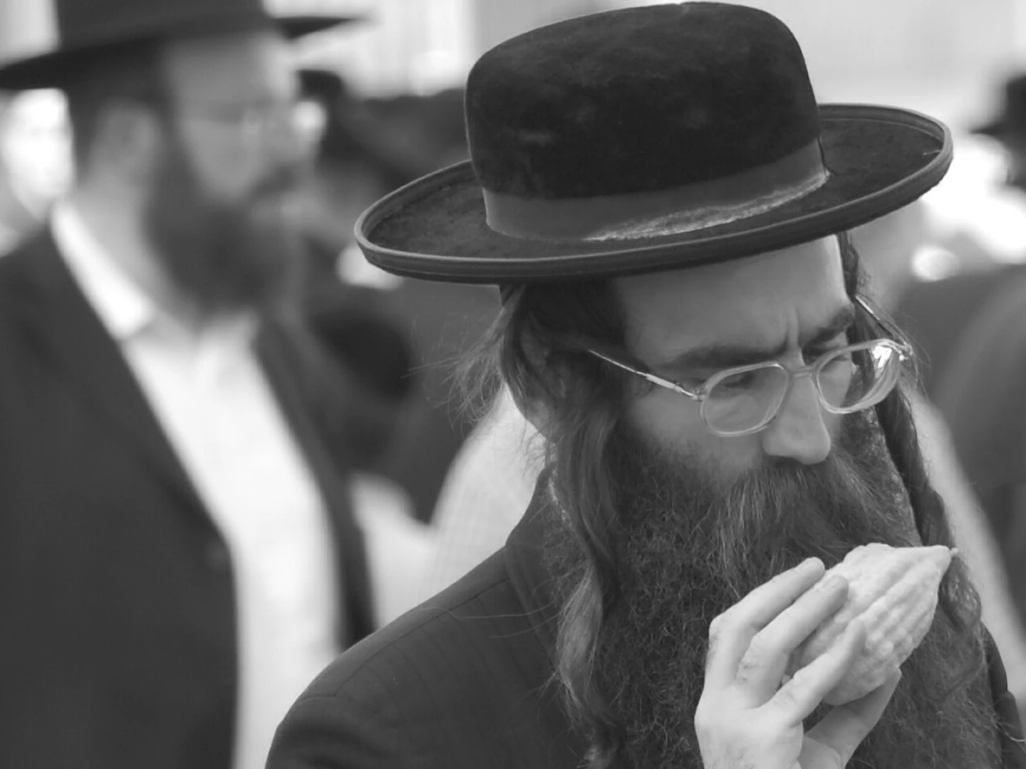 An Orthodox Jewish man inspects an etrog in Jerusalem. Credit: Sir Kiss/Public Domain via Wikimedia Commons.