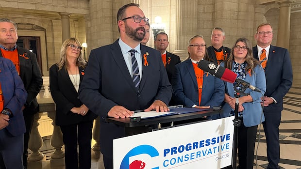 Konrad Narth named interim leader of Progressive Conservatives after Obby Khan quits