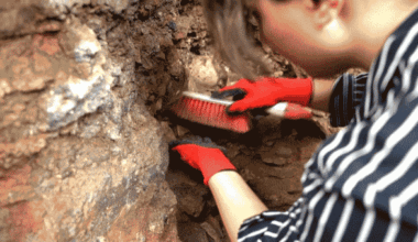 GIF of archaeologist excavating site in Georgia