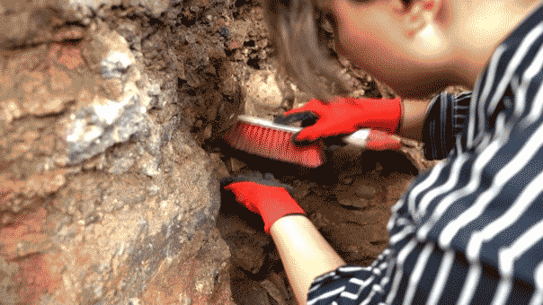 GIF of archaeologist excavating site in Georgia