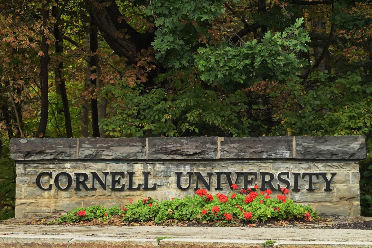 Wells Fargo fires one of the ‘Cornell 7’ frat bros accused of drugging and gang raping fellow student: report