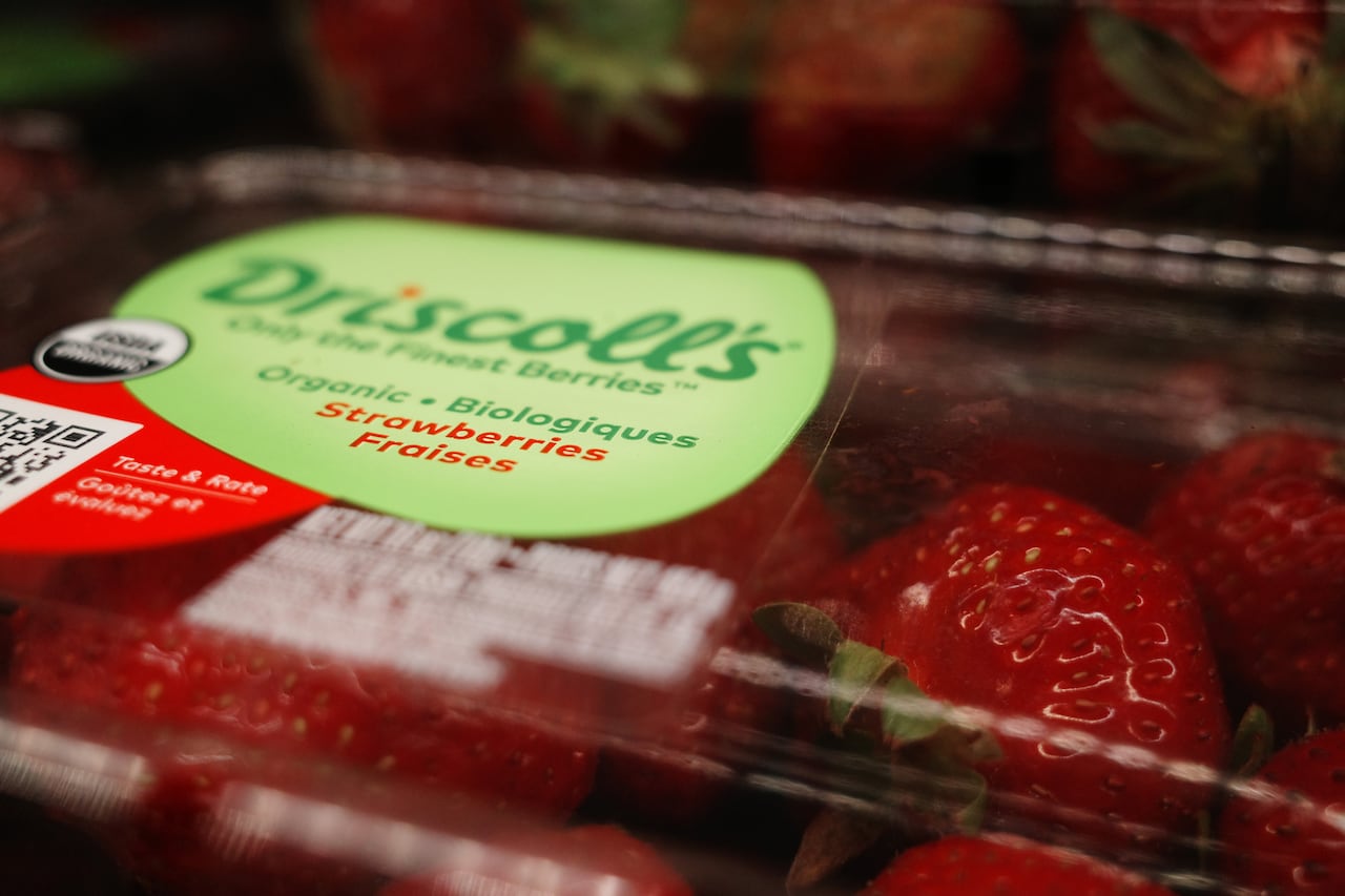A close-up image on a plastic container full of red strawberries. On top of the container is a light green sticker with the name "Driscoll's" written in darker green font.