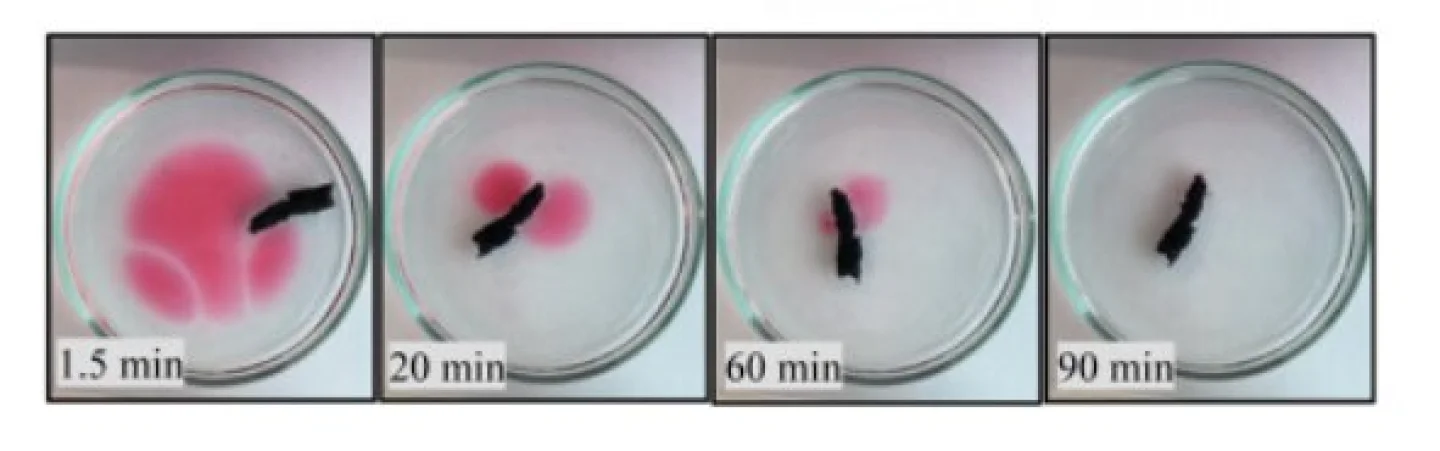 A laboratory demonstration shows aerogel absorbing an oil-like liquid from water over 90 minutes, leaving the surrounding water clear. Credit: Ben-Gurion University.