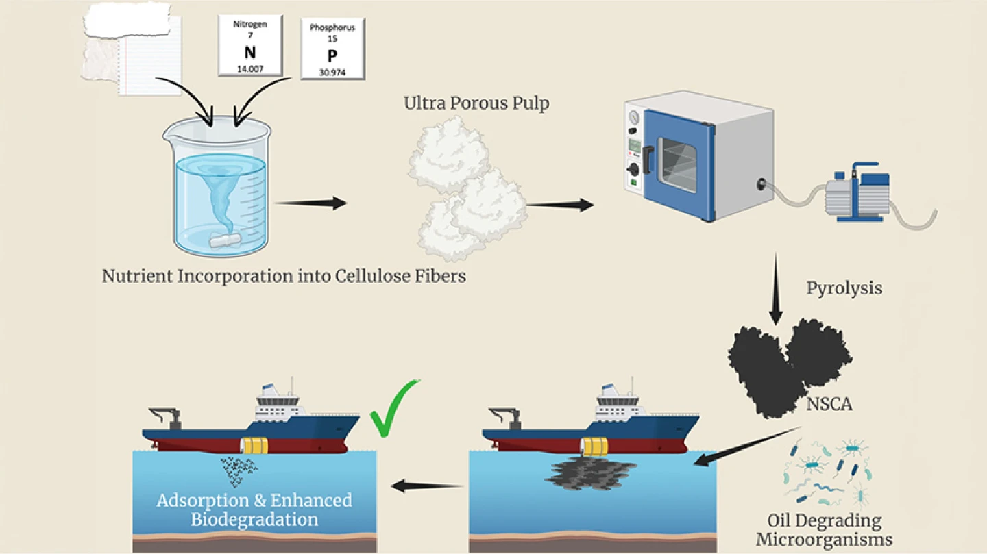 A graphic illustrates how Ben-Gurion University researchers produce a nutrient-enriched cellulose aerogel designed to absorb oil spills and promote their biodegradation by naturally occurring microorganisms. Credit: Ben-Gurion University.