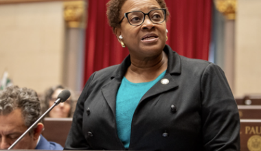 Rodneyse Bichotte Hermelyn backs Nikki Lucas as Brooklyn Dems chair