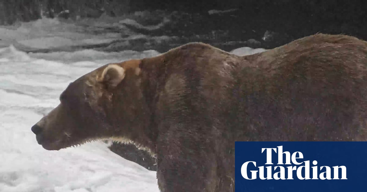Backpack edges past Dancing Queen to win the Fat Bear Week title | Alaska