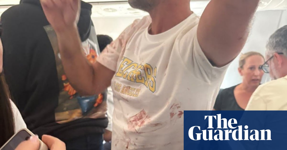 What we know so far about alleged stabbing of pilot by co-pilot on flight to Israel | Israel