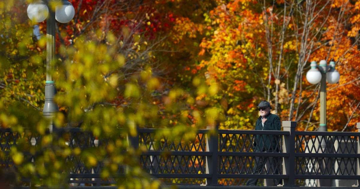 How will fall colours in Ontario be impacted by El Nino?