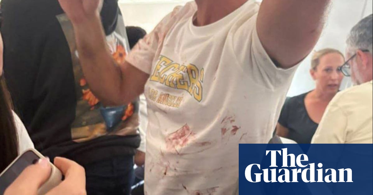 Mid-air panic as pilot attacked on Israel-bound flight - The Latest | Israel