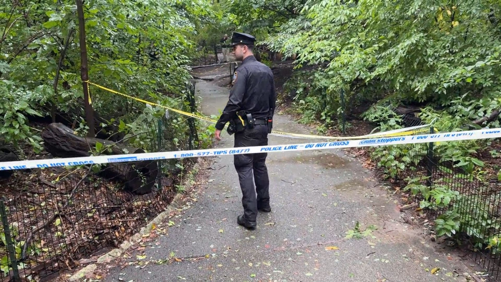 Central Park: Woman in her 60s found dead with stab wounds
