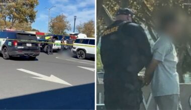 Dublin, California shooting: 77-year-old couple allegedly shoots, kills son-in-law, Jonathan McKinsey