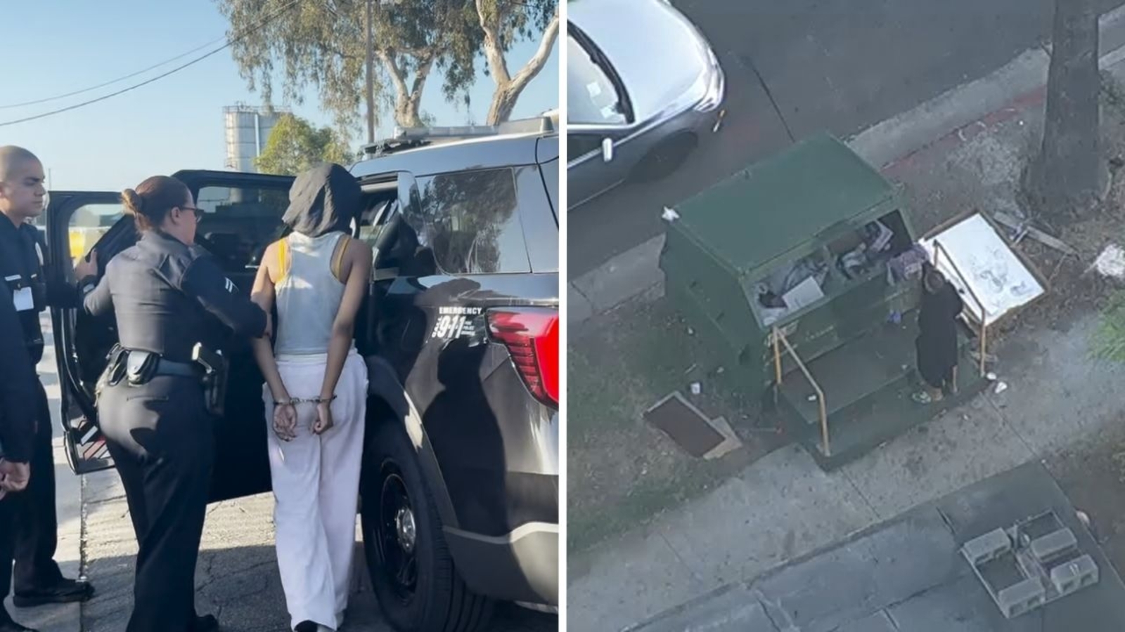 Baby dead after being found in dumpster in South Los Angeles, mother taken into custody, police say
