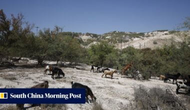 UK imposes trade ban on goods from Israeli West Bank settlements