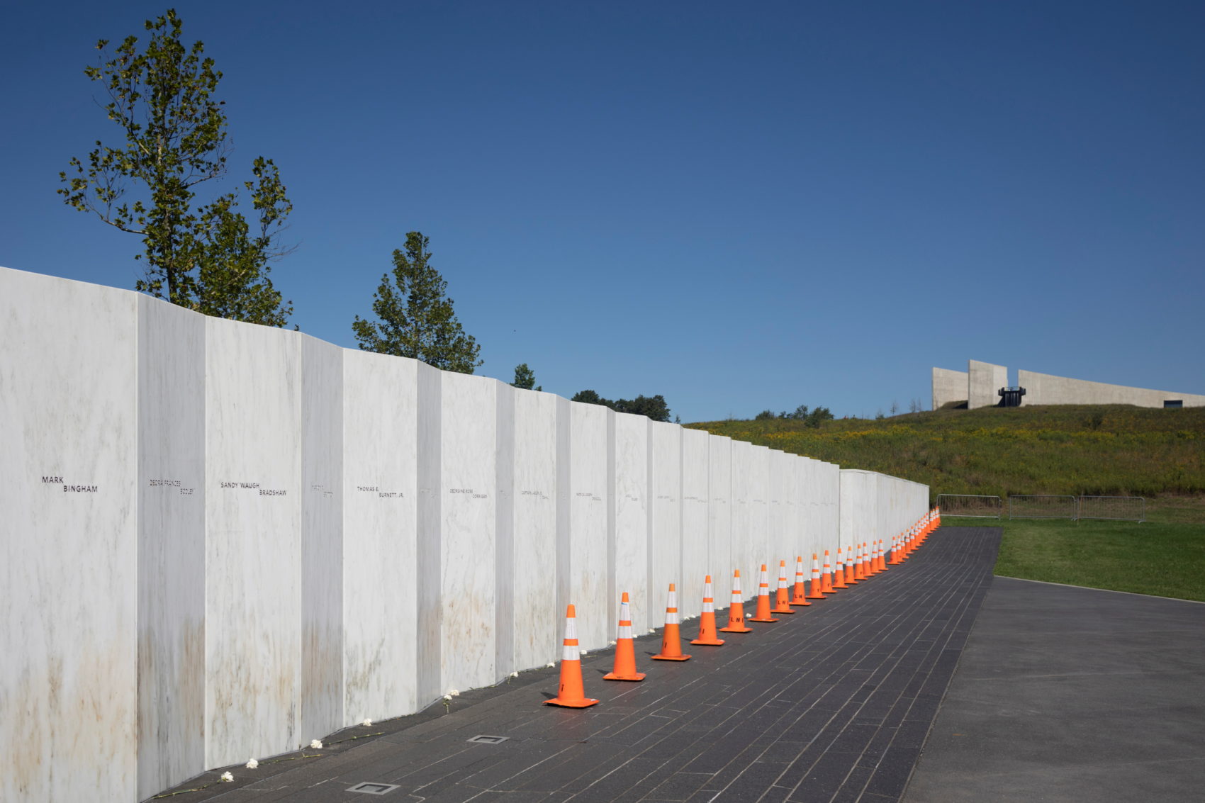 After 9/11, two arborists joined the grim task of collecting evidence in the woods of Shanksville