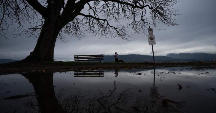Rainfall warning issued for parts of B.C. as ‘robust’ storm moves in - BC