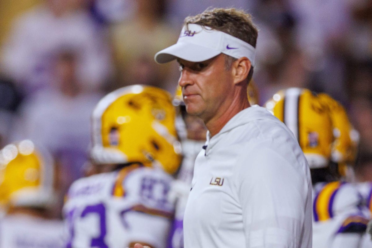 LSU football ends quest to add ex-NFL players to roster this season