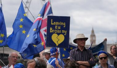 All but four constituencies would support reversing Brexit and rejoining the EU, major poll shows