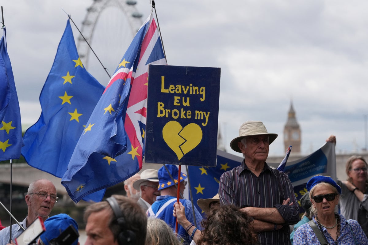 All but four constituencies would support reversing Brexit and rejoining the EU, major poll shows