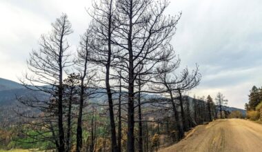 FEMA denies portion of Colorado’s disaster aid request