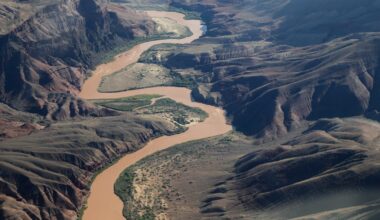 Rep. David Schweikert describes surviving deadly Grand Canyon flash flood
