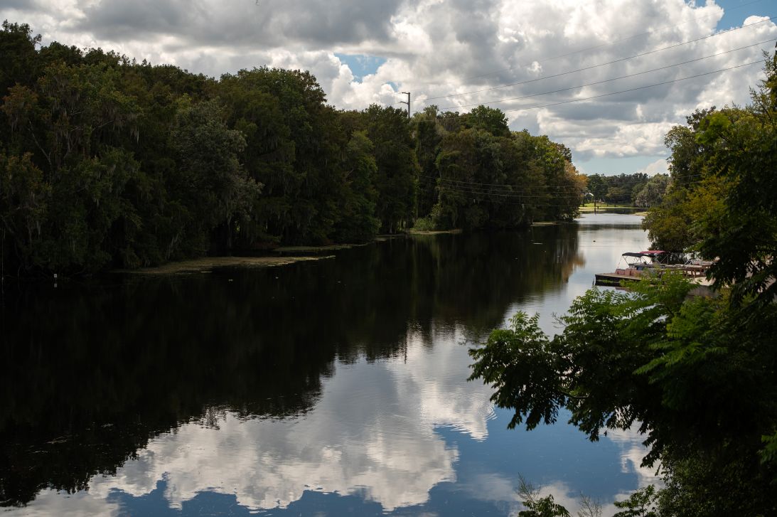The view from McAndrew's home, where the Withlacoochee and Rainbow Rivers merge.