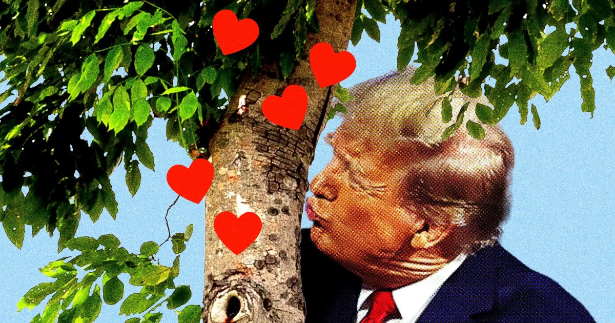 How Trump’s war on Iran accidentally helped slow climate change