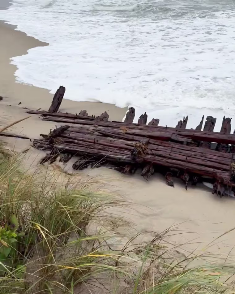 Wooden remnants of a ship on the shore of a beach