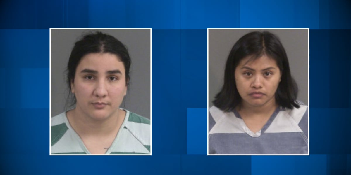 Guardian, driver arrested after 2-year-old girl killed in North Charleston hit-and-run