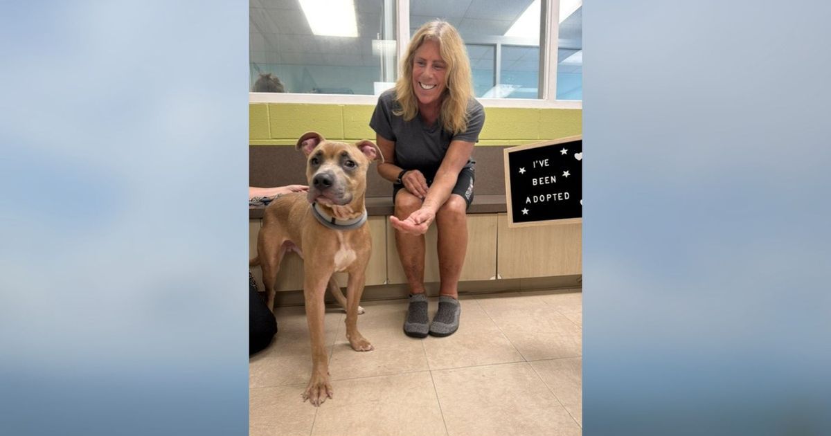 Dog found in a dumpster in Durham has found a home :: WRAL.com