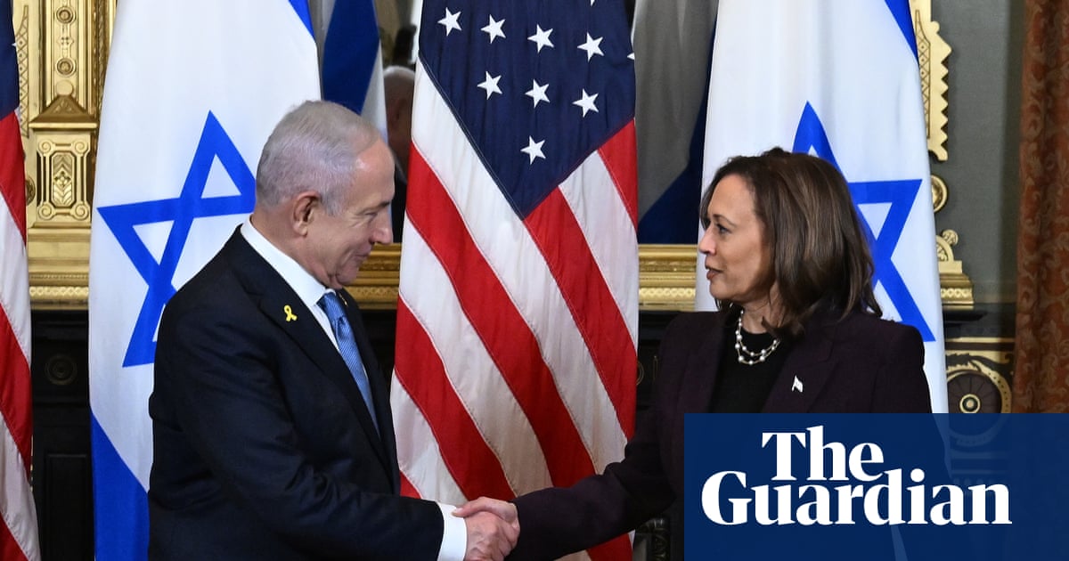 Democrats’ Gaza reckoning: how failing to give Palestinians a voice came back to bite the party | Democrats