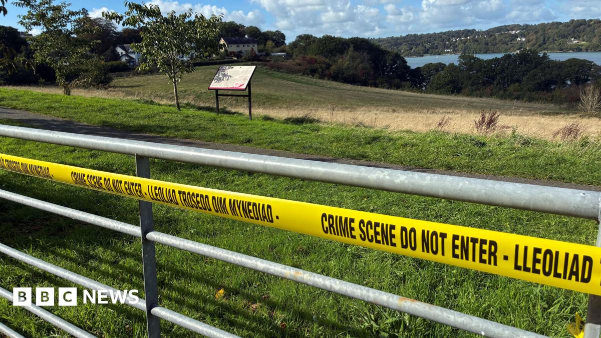 A gate has yellow crime scene tape over it. Behind the gate is a field surrounded by green trees and a river.