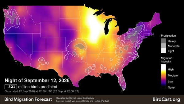 Bird migration forecast for Saturday night