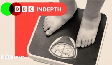 BBC InDepth